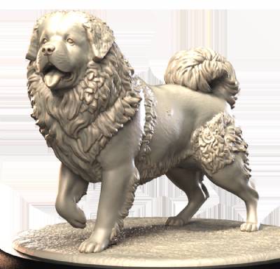 Tibetan Mastiff (2)